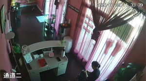 Caméra IP - United States of America