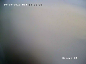 Caméra IP - Australien