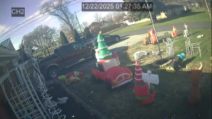 Caméra IP - United States of America