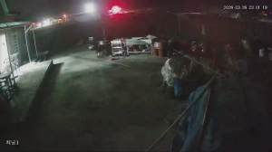 Caméra IP - South Korea