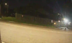 Caméra IP - South Africa