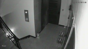 Caméra IP - Südkorea