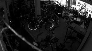 Caméra IP - Netherlands