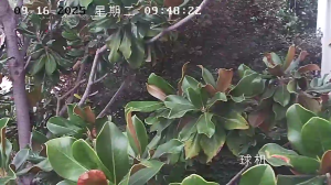 Caméra IP - 中華人民共和国