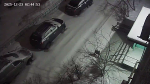 Caméra IP - Russian Federation