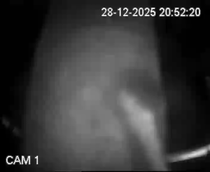 Caméra IP - Ireland