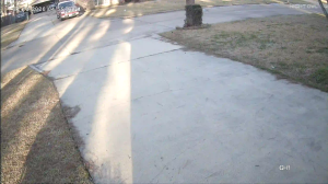 Caméra IP - United States of America