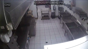 Caméra IP - United States of America