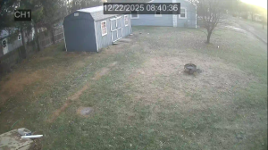 Caméra IP - Estados Unidos