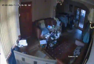 Caméra IP - Royaume-Uni