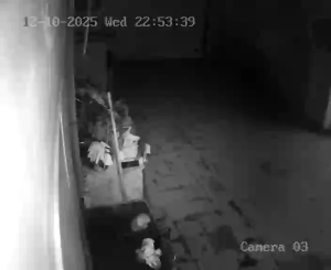 Caméra IP - Russische Föderation