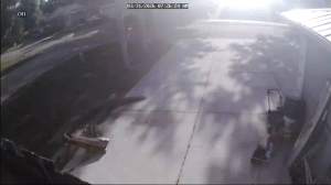 Caméra IP - United States of America