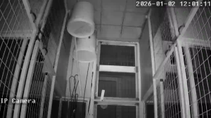 Caméra IP - Griechenland