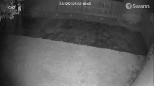 Caméra IP - Nouvelle-Zélande