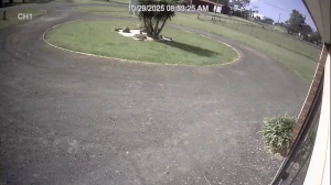 Caméra IP - Australien