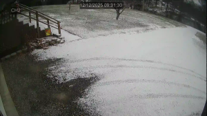 Caméra IP - United States of America