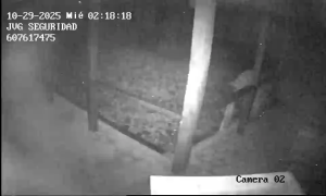 Caméra IP - Spanien