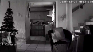 Caméra IP - México