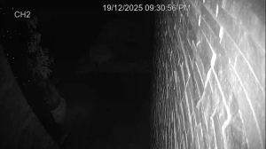 Caméra IP - Australia