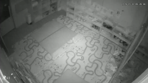 Caméra IP - Corea del Sud