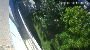 Caméra IP - Portugal