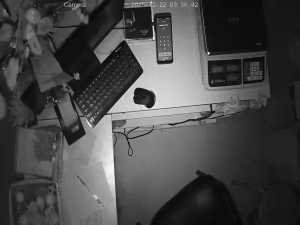 Caméra IP - Russian Federation