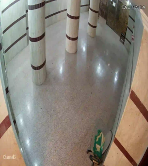 Caméra IP - Saudi Arabia