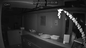 Caméra IP - Réunion