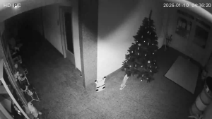 Caméra IP - Deutschland