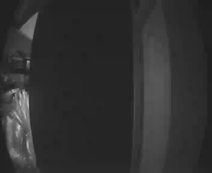 Caméra IP - Australia