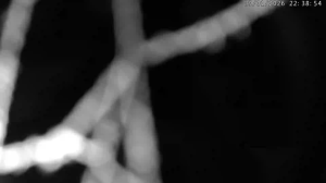 Caméra IP - Alemania