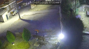 Caméra IP - Südkorea