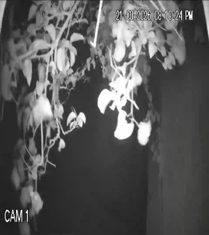 Caméra IP - Guatemala