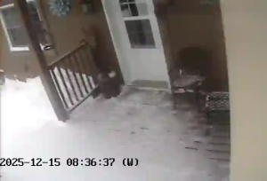 Caméra IP - Australie