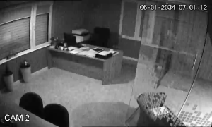 Caméra IP - Bulgaria