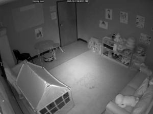 Caméra IP - Vereinigte Staaten von Amerika