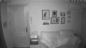 Caméra IP - Espagne