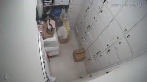 Caméra IP - Émirats Arabes Unis