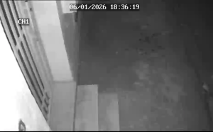 Caméra IP - Tunesien