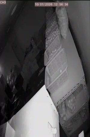 Caméra IP - Corée du Sud