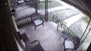 Caméra IP - United States of America