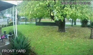 Caméra IP - South Africa