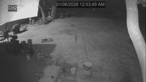 Caméra IP - United States of America