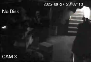 Caméra IP - United States of America