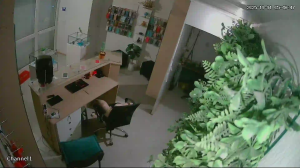 Caméra IP - Tunisie