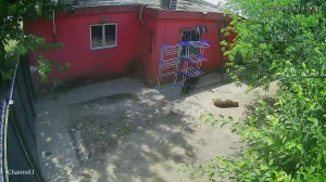 Caméra IP - Argentina