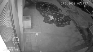 Caméra IP - Géorgie