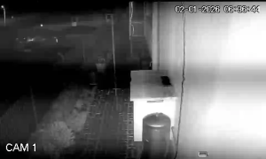 Caméra IP - Portugal