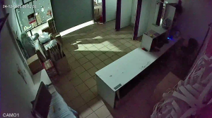 Caméra IP - Russian Federation