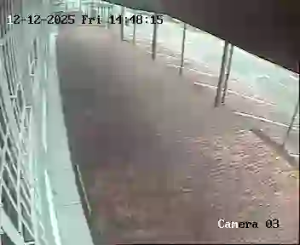 Caméra IP - South Africa